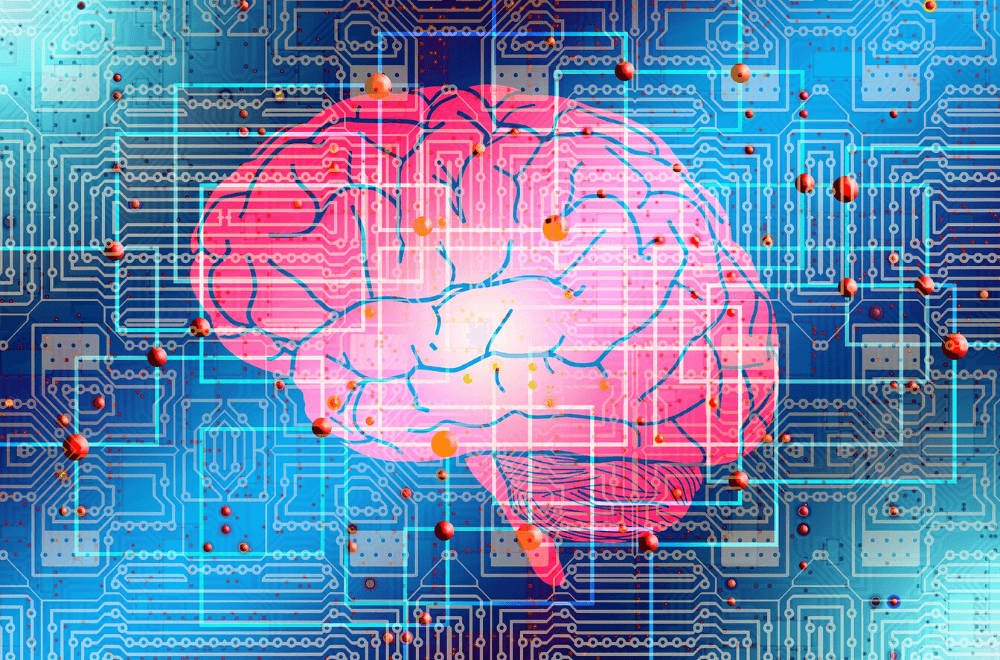 Brain image Artificial Intelligence