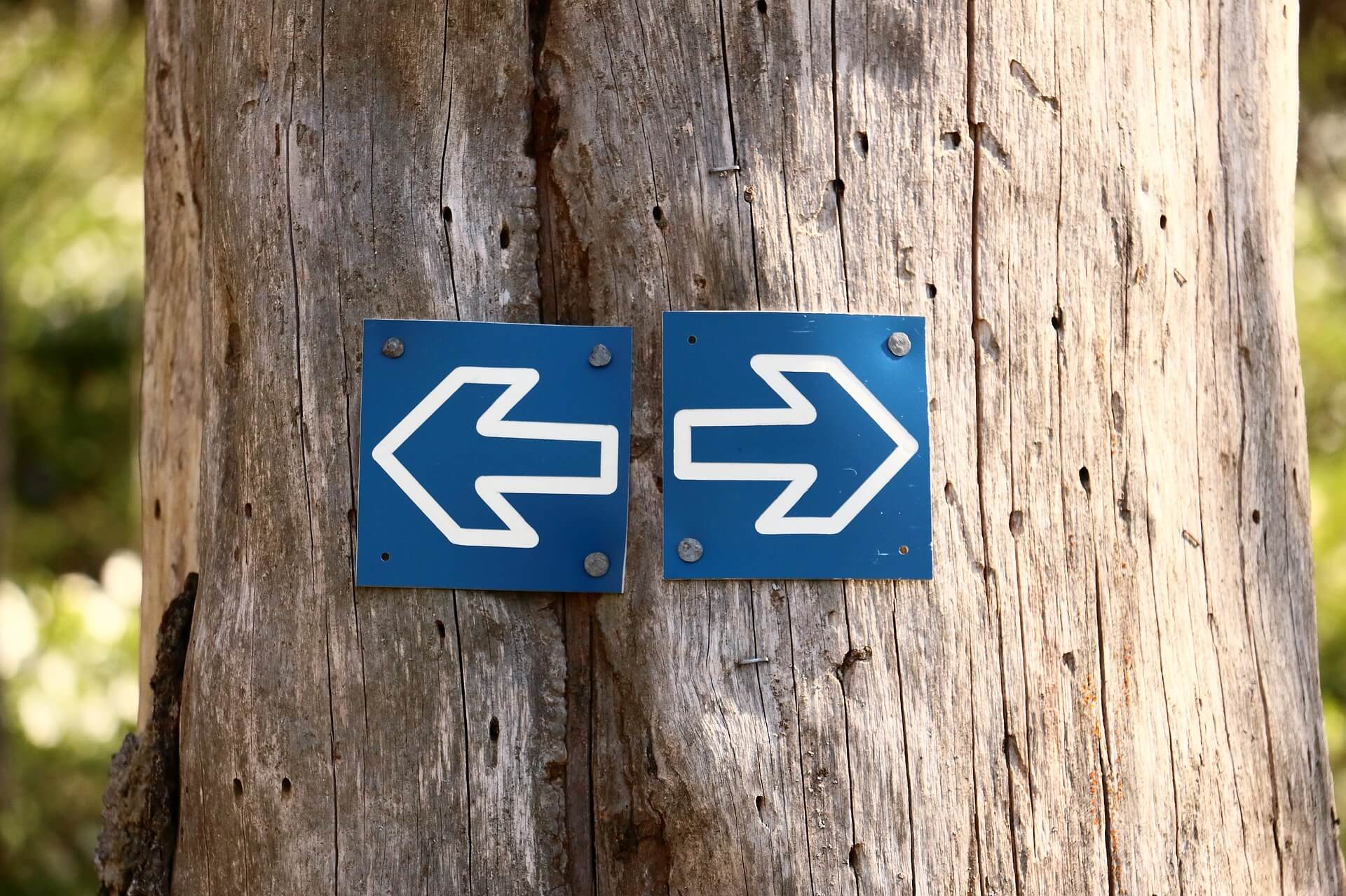 Arrow signs pointing left and right