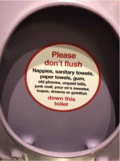 A toilet sign from the UK shows all the things - including a goldfish - that shouldn't be flushed
